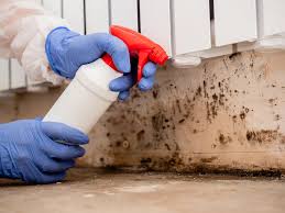 Mold Remediation